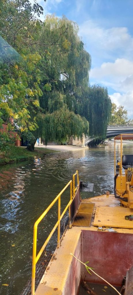 Tree Cutting along the River Cam